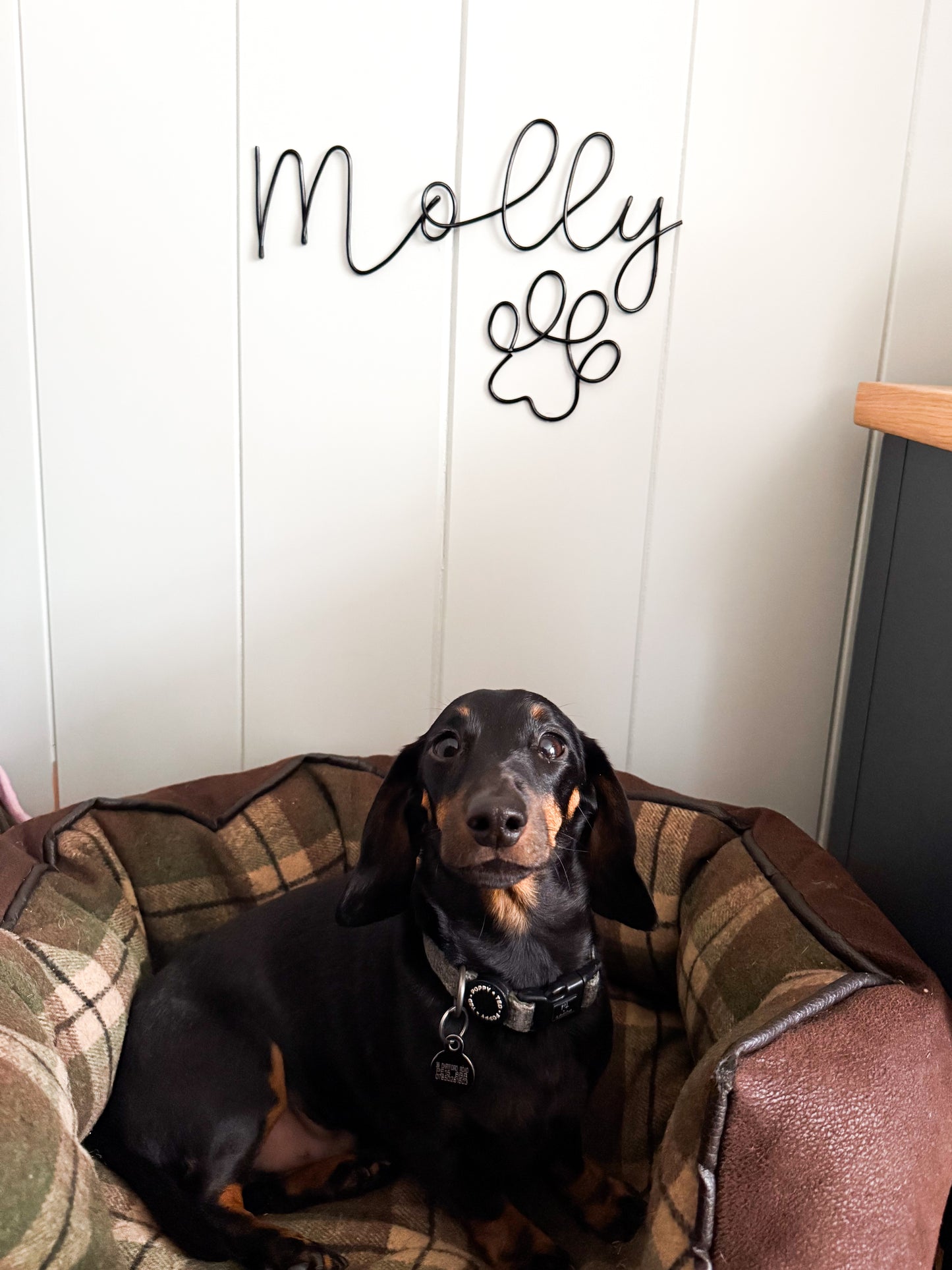 Pet Name Sign