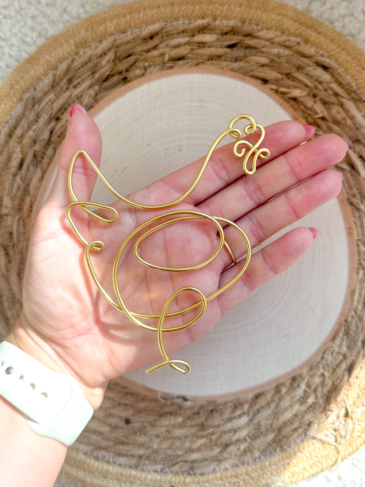 Mini Wire Chicken