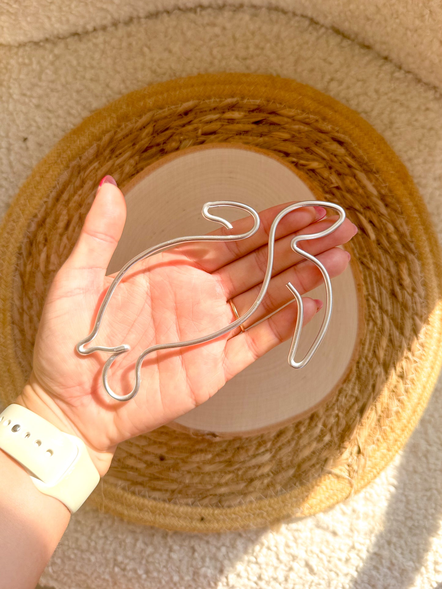 Mini Wire Turtle