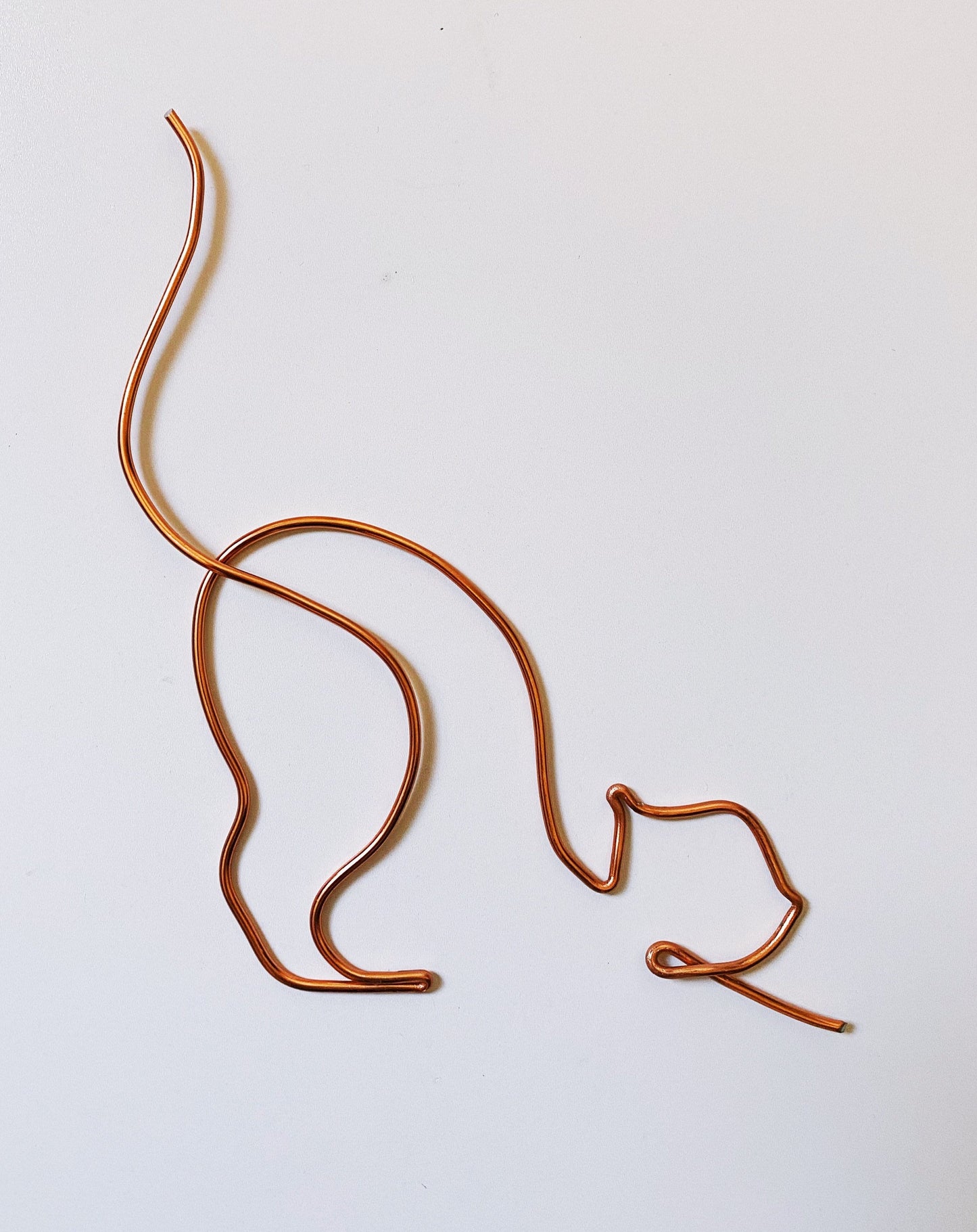 Wire Cat
