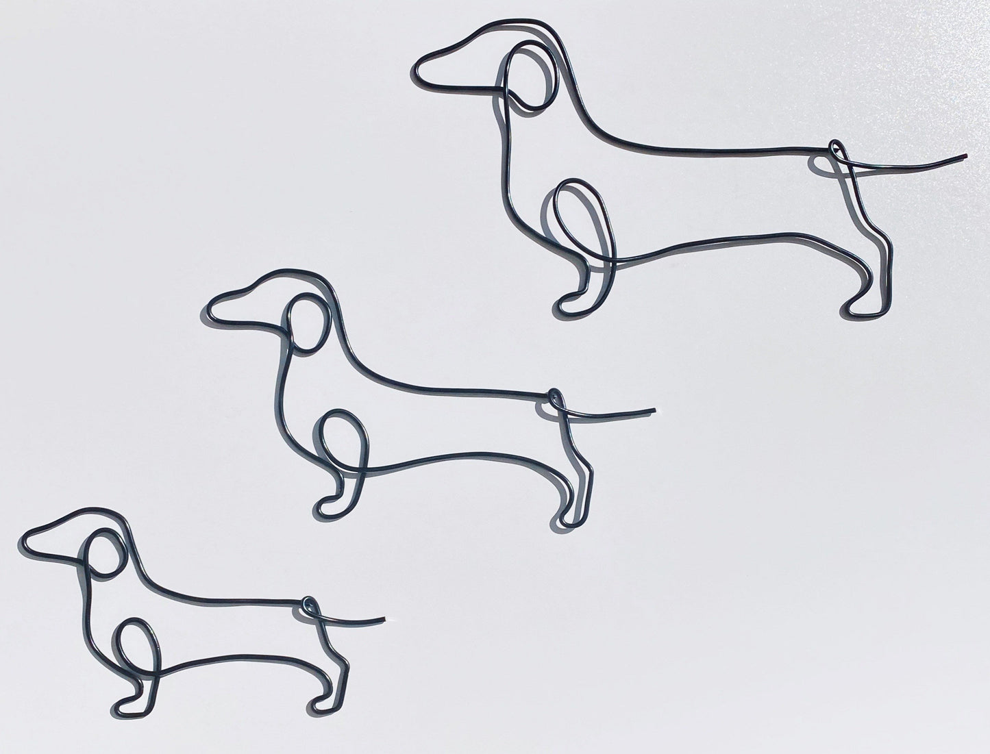 Wire Dachshund