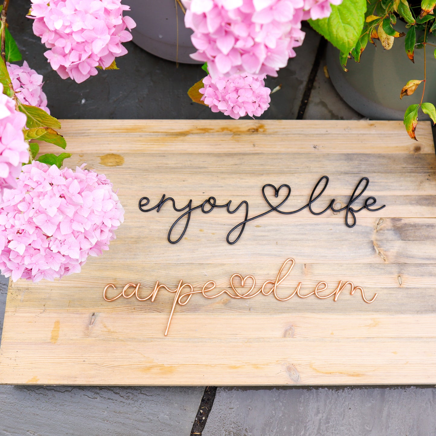 Wire Carpe Diem Sign