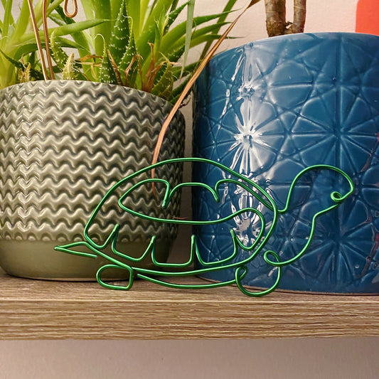 Wire Tortoise