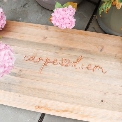 Wire Carpe Diem Sign