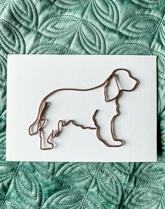 Wire Spaniel