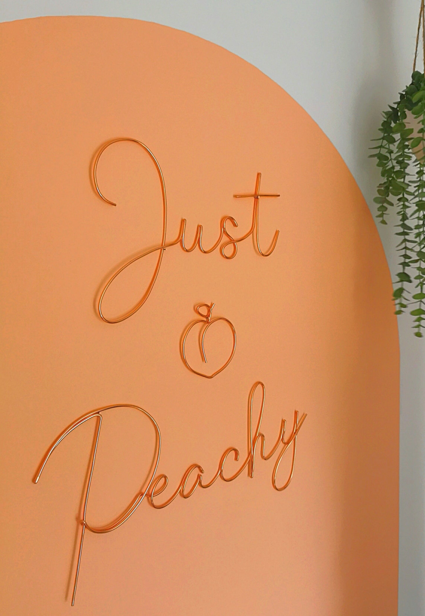 ‘Just Peachy' Wire Sign