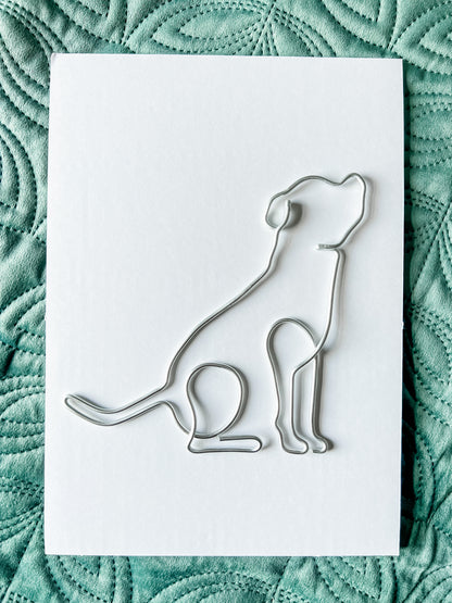 Wire Staffordshire Bull Terrier