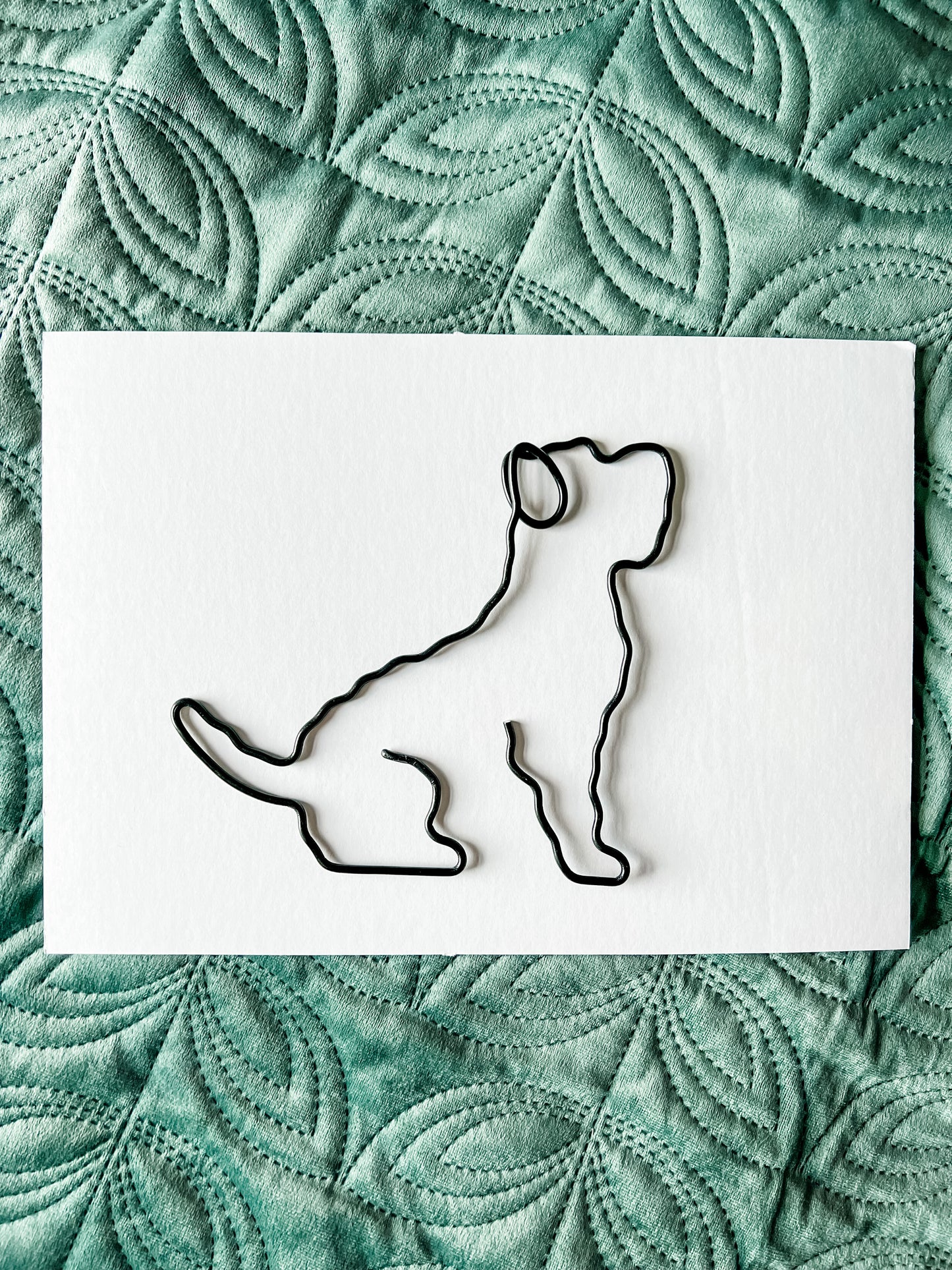Wire Terrier