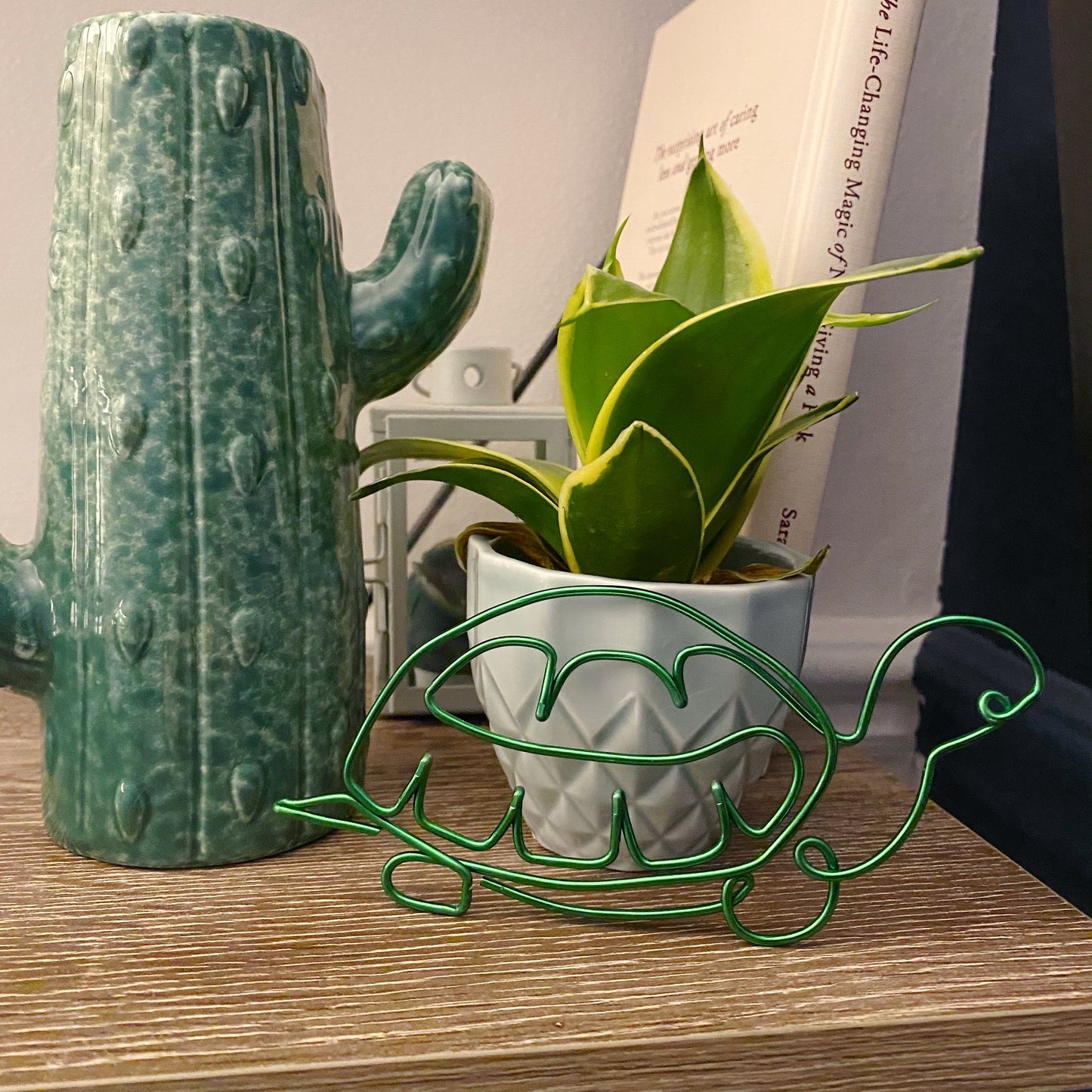 Wire Tortoise