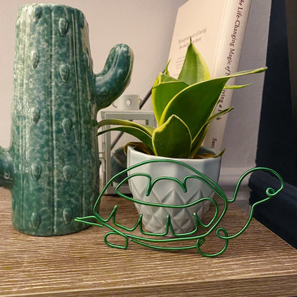 Wire Tortoise